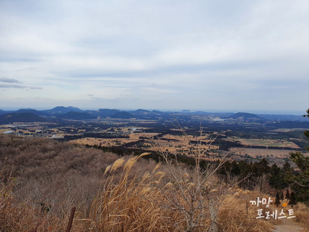 큰사슴이오름 하산 풍경