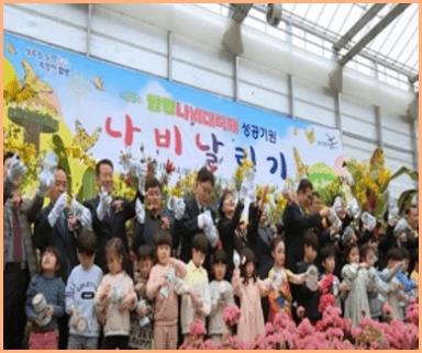 함평 나비축제