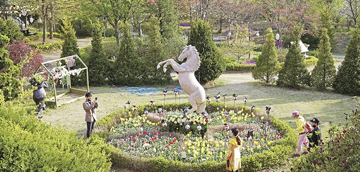 들꽃수목원 이미지