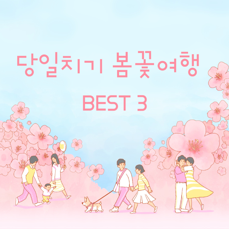 당일치기봄꽃여행