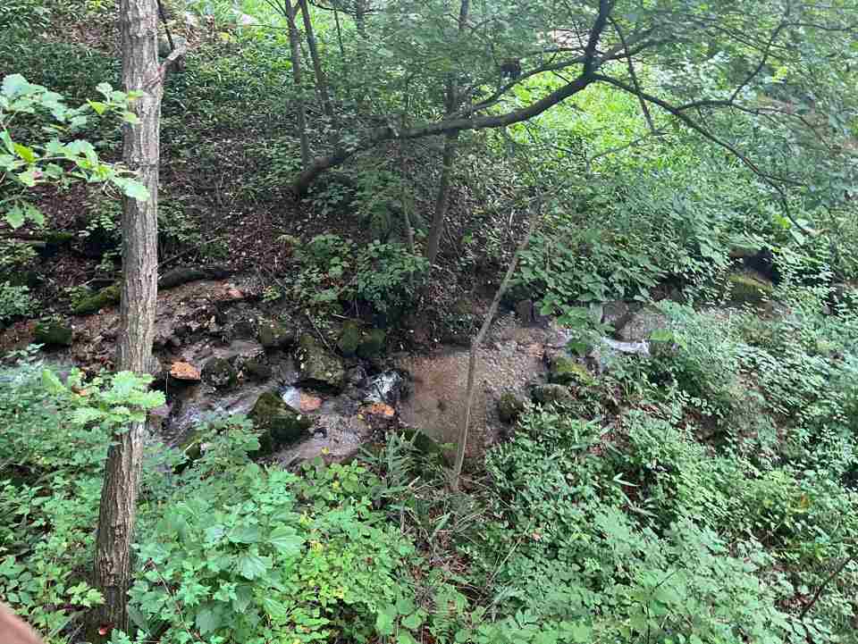 이효석 문학의 숲