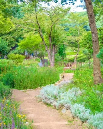 과천 가볼만한곳 카페 추천 맛집 아이랑 여행 코스_11