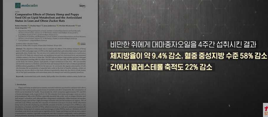 대마종자유 효능