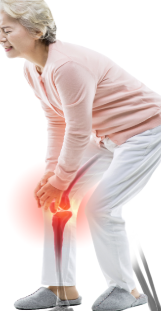 거위발건염 무릎통증