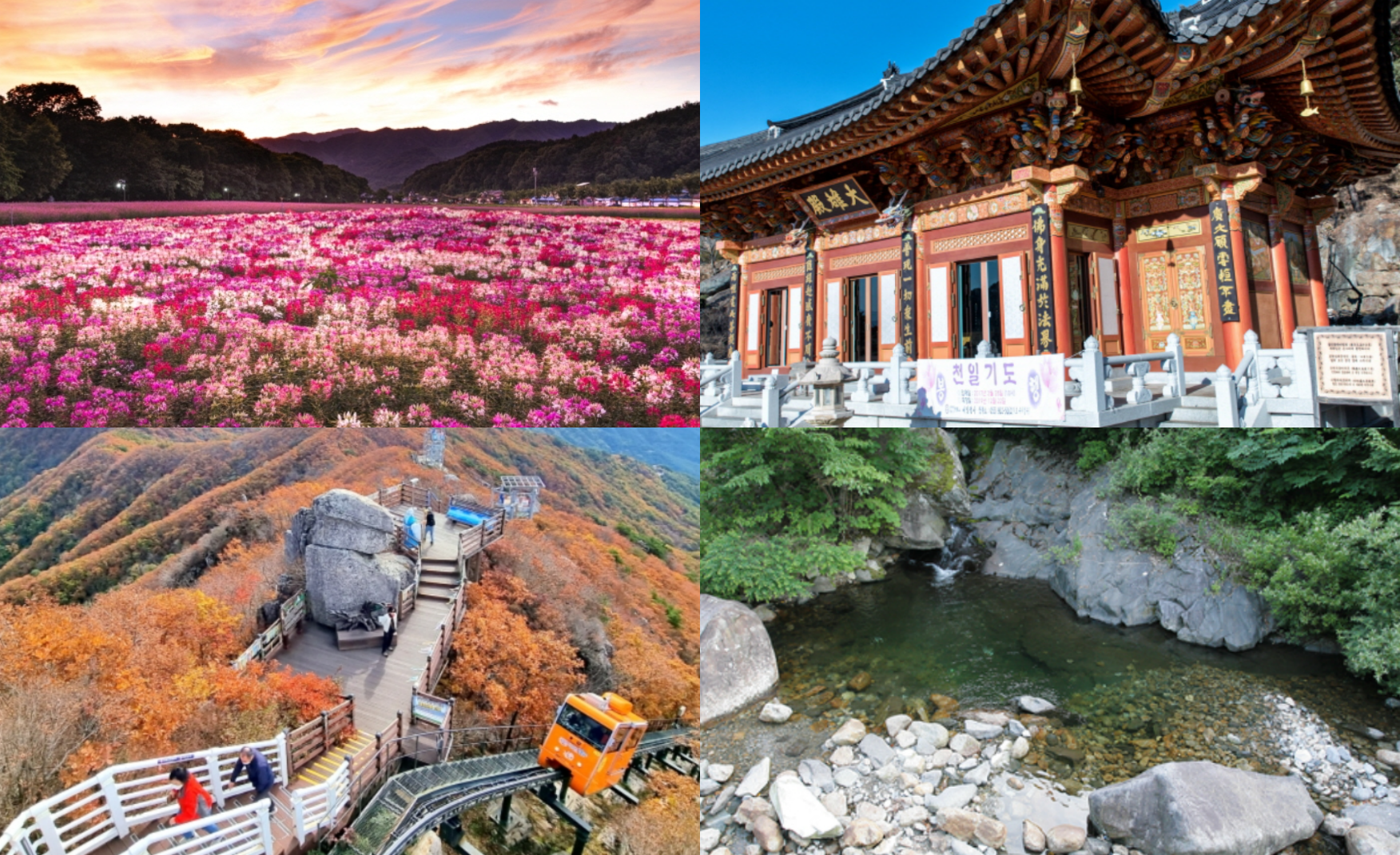 함양 가볼만한곳
