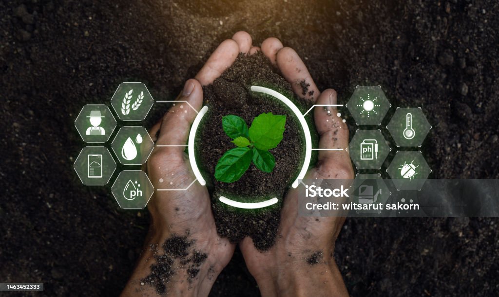 🌱 스마트팜, 농업의 미래를 바꾸다