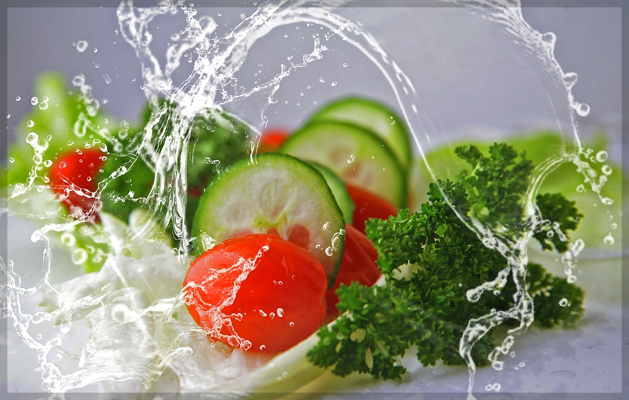 휴게음식점 온라인 위생교육