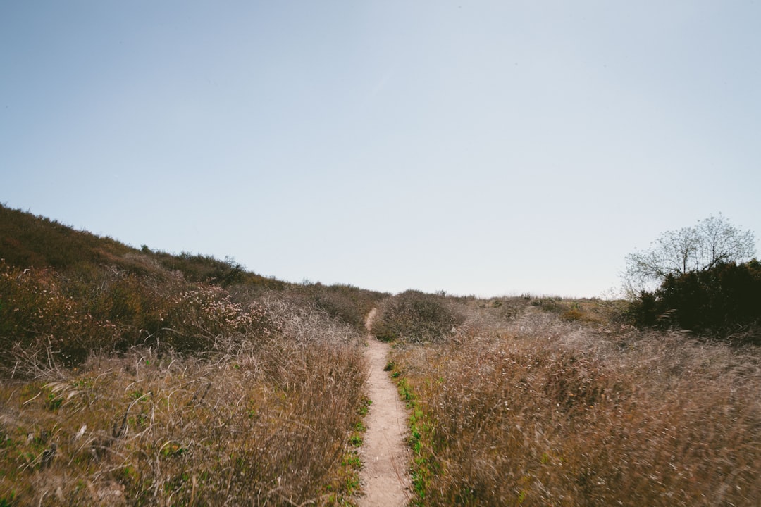 Trail
