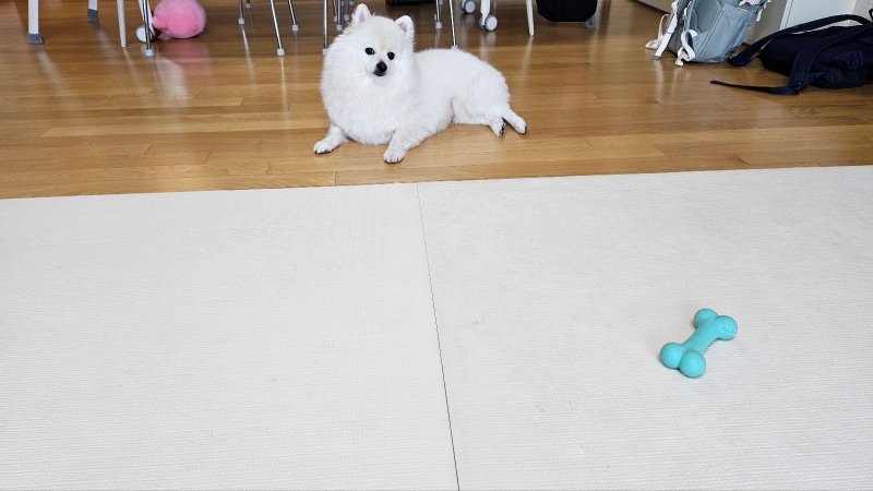 에어메이드 글라이드 물걸레청소기5