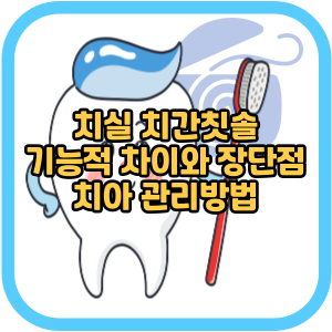 치실 치간칫솔 기능적 차이와 장단점 치아 관리방법