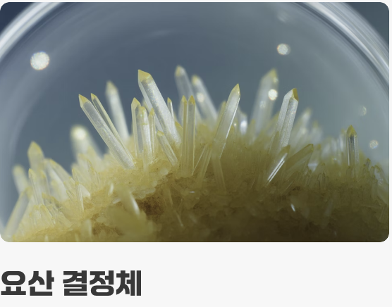 바람만 스쳐도 아픈 통증의 정체