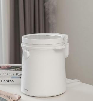 가열식 가습기 추천