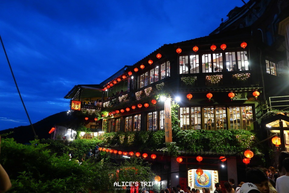 1월 2월 해외 여행지 추천 가까운 따뜻한 나라 항공권 가격 일일투어