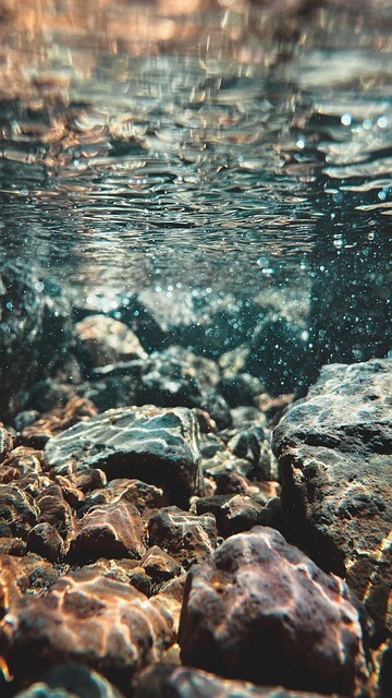 백록샘 사전예약