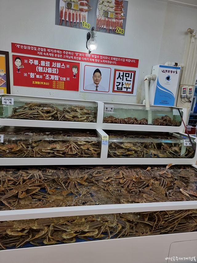 속초 대게 맛집 속초게찜 본점&#44; 속초 갈 때마다 방문하는 추천 맛집