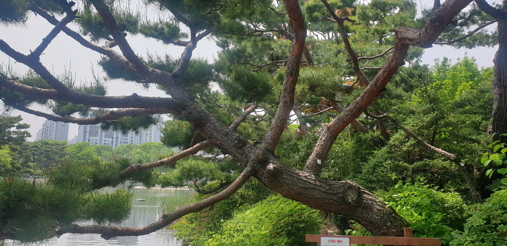 갑상선 기능저하증 초기증상 7가지 총정리(검사비용 포함)