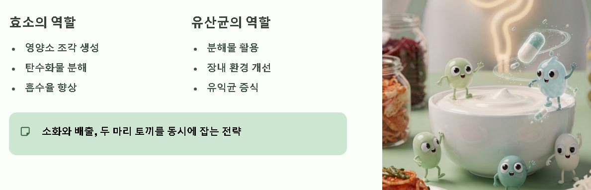 골드 카무트 효소 먹는법