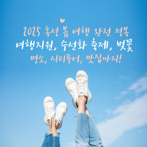 2025 홍성 봄 여행 완전 정복