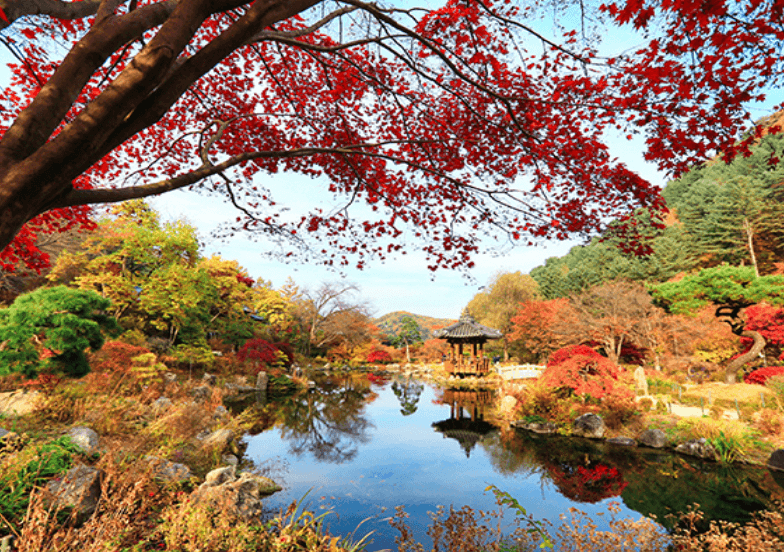 서울근교 단풍명소 추천