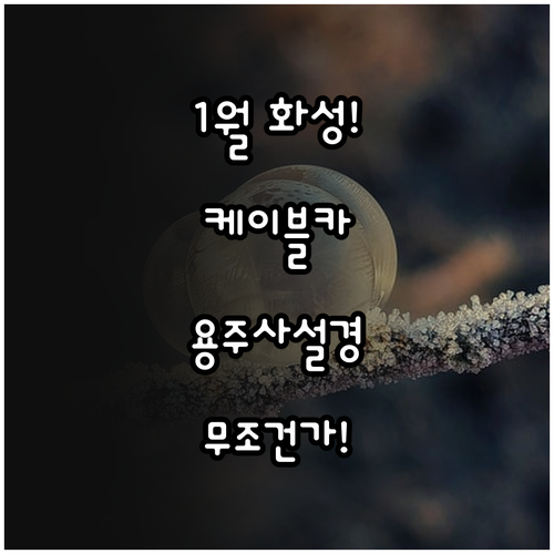 화성 1월 여행지 추천 제부도 케이블..