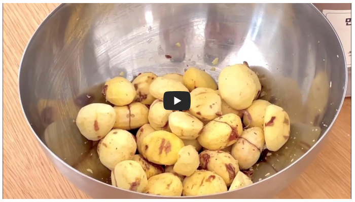 밤깎는 기계 푸드엠 FD-2020 리뷰(최저가 구매)