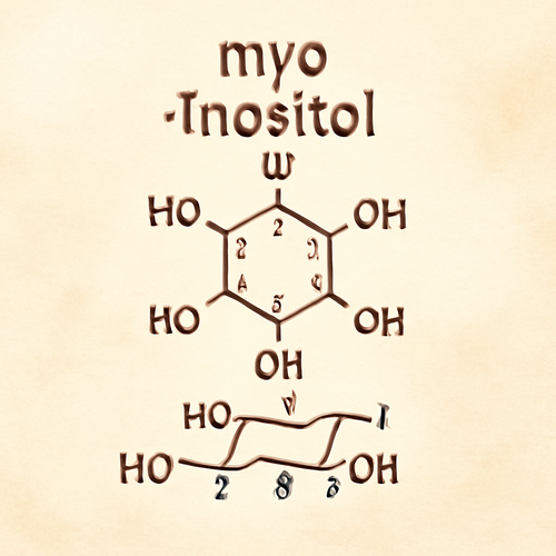 이노시톨_복용법_복용시간