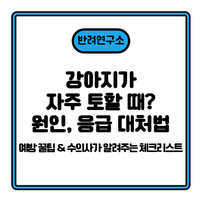 강아지가 자주 토할 때? 6가지 원인, 응급 대처법 + 예방 꿀팁 & 수의사가 알려주는 체크리스트