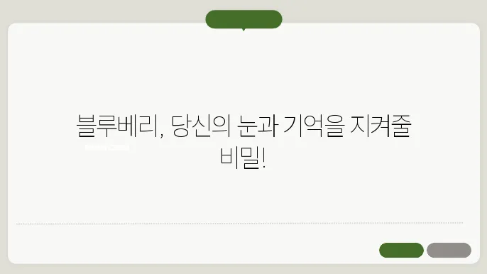 블루베리의 눈 건강과 기억력 향상