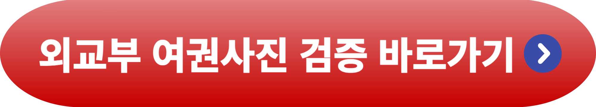 여권사진 규정