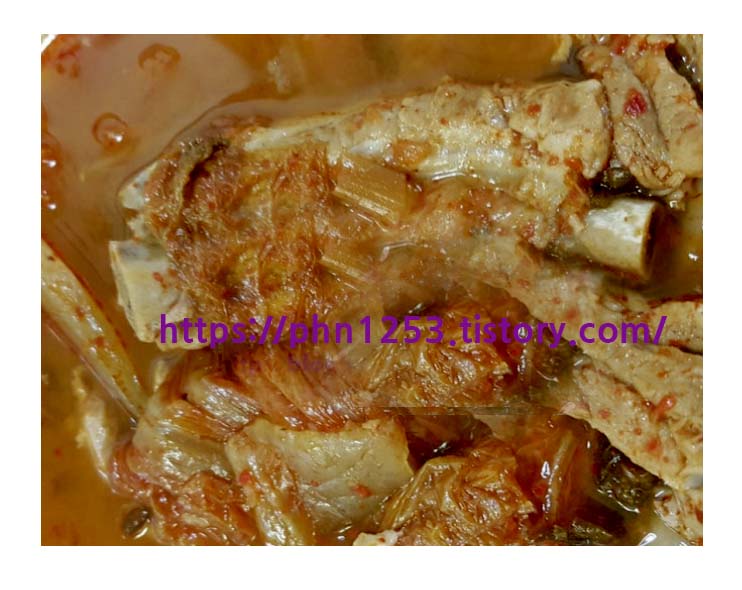 Alt 속성 문제 해결 설명 이미지