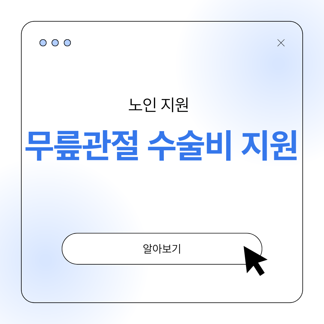 노인 무릎관절 수술비 지원