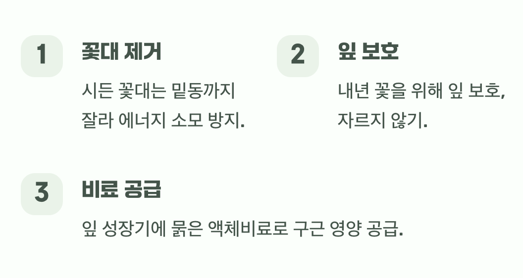 꽃이 진 뒤에 할 일
