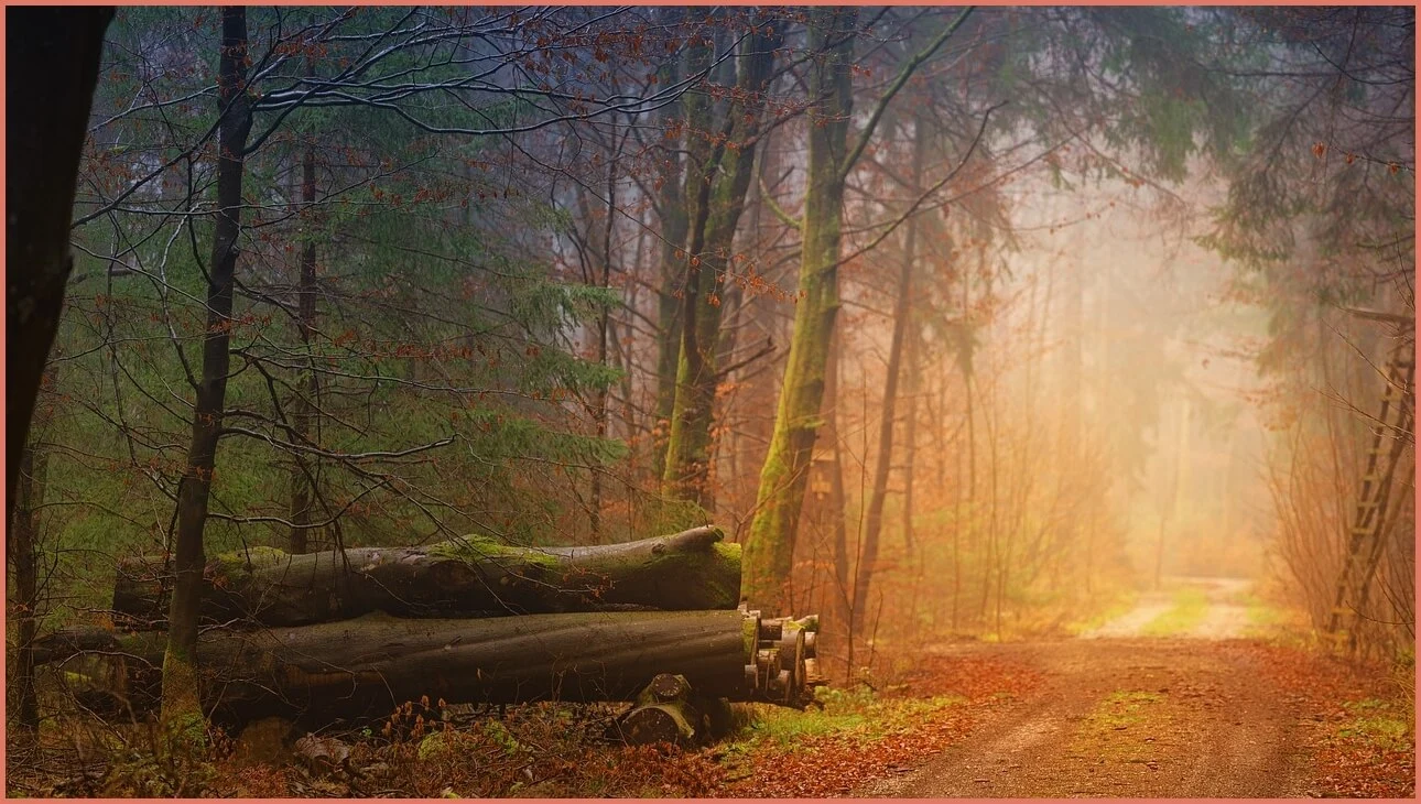 새마을금고 예금금리