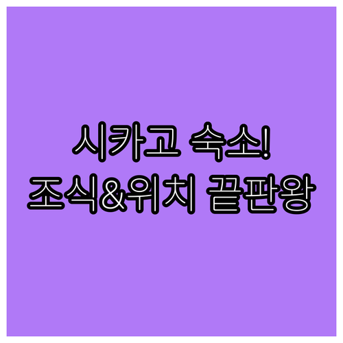미국 시카고 숙소 추천 리스트 4곳 ..