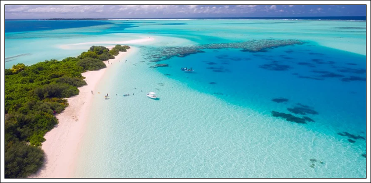 거친 바다의 꿈