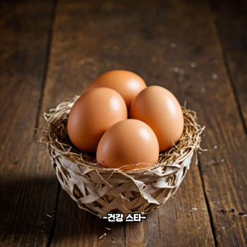 비타민b2 많은 음식