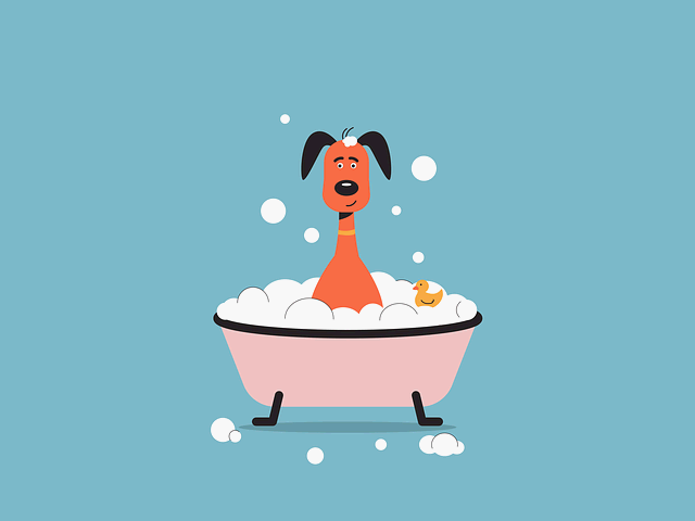 강아지 목욕 주기와 피부 타입별 샴푸