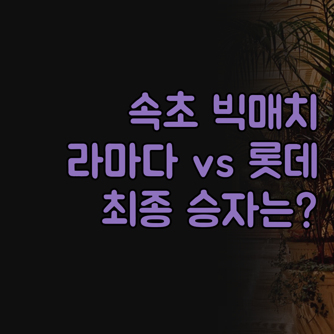 카시아 속초 라마다 속초 호텔더블루테..