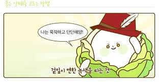 양배추의효능