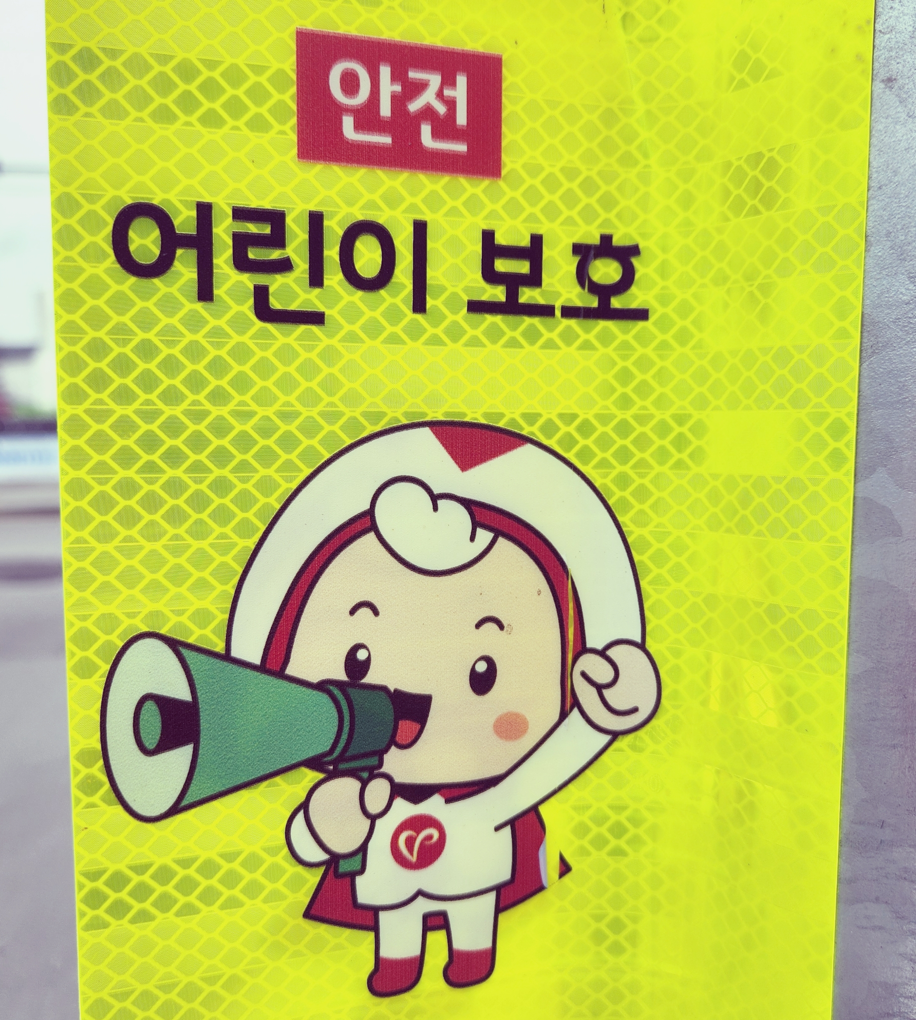 초등학교 안전보호 설치물 입니다.