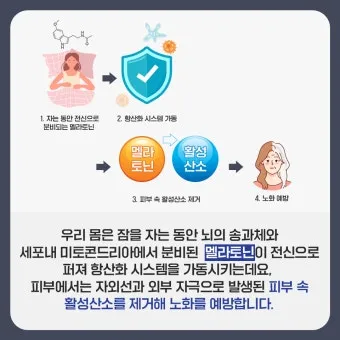 식물성 멜라토닌 효능_4