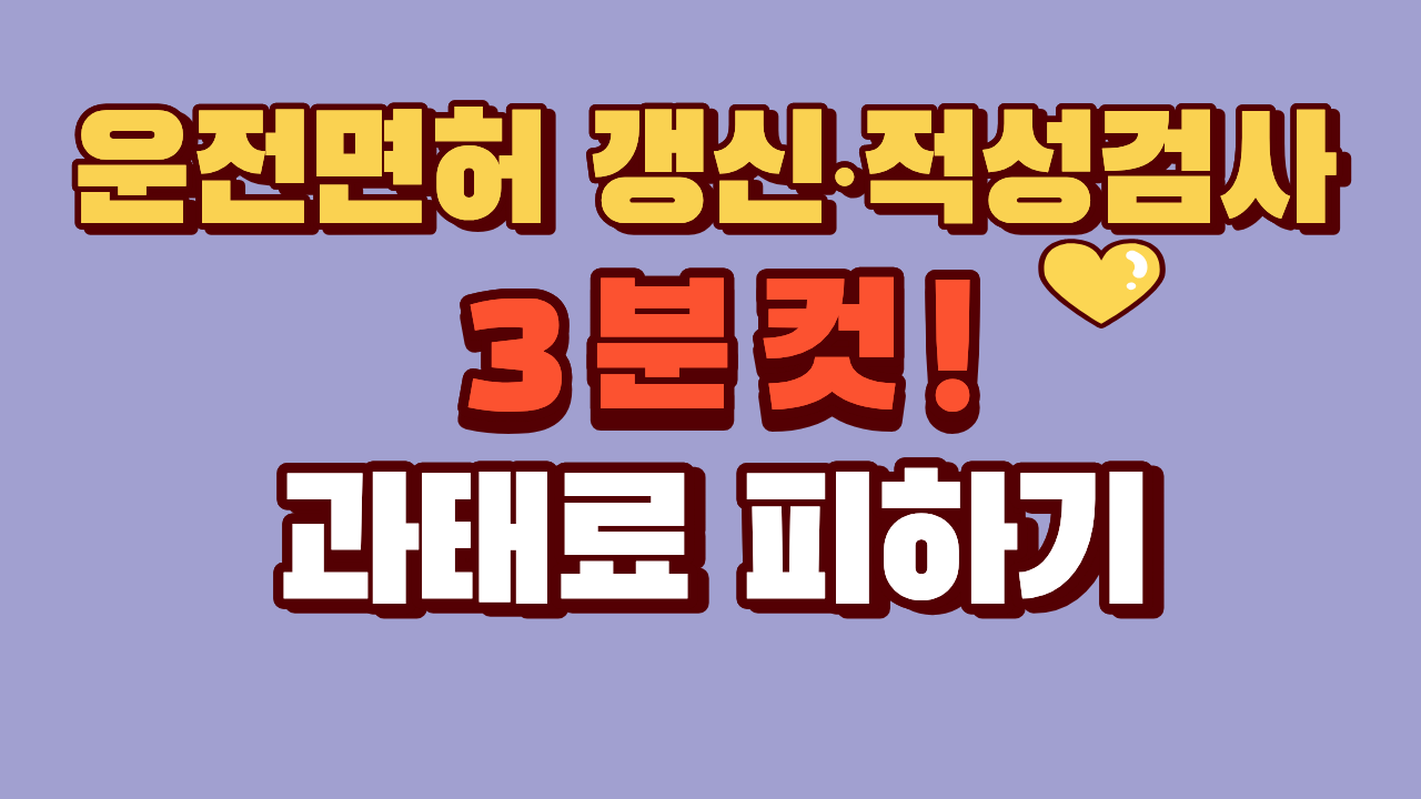 운전면허 갱신&middot;적성검사, &lsquo;나도 모르게 과태료&rsquo; 피하는 3분 체크리스트