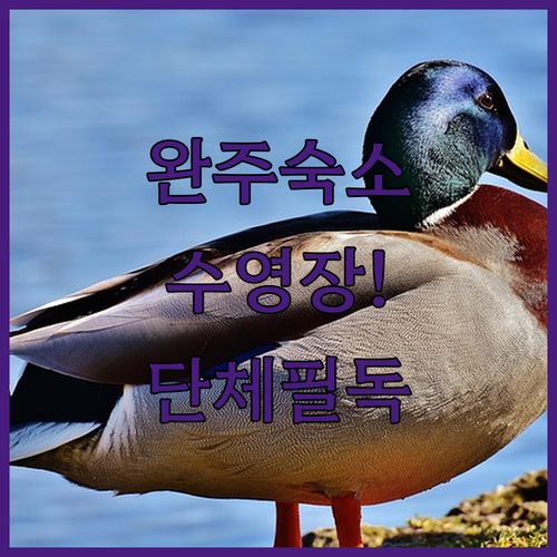 아이와 가기 좋은 완주 하나원리조트와..