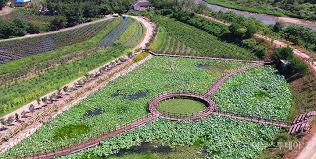 여름휴가 국내여행지 베스트 10