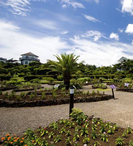 제주허브동산별빛놀이