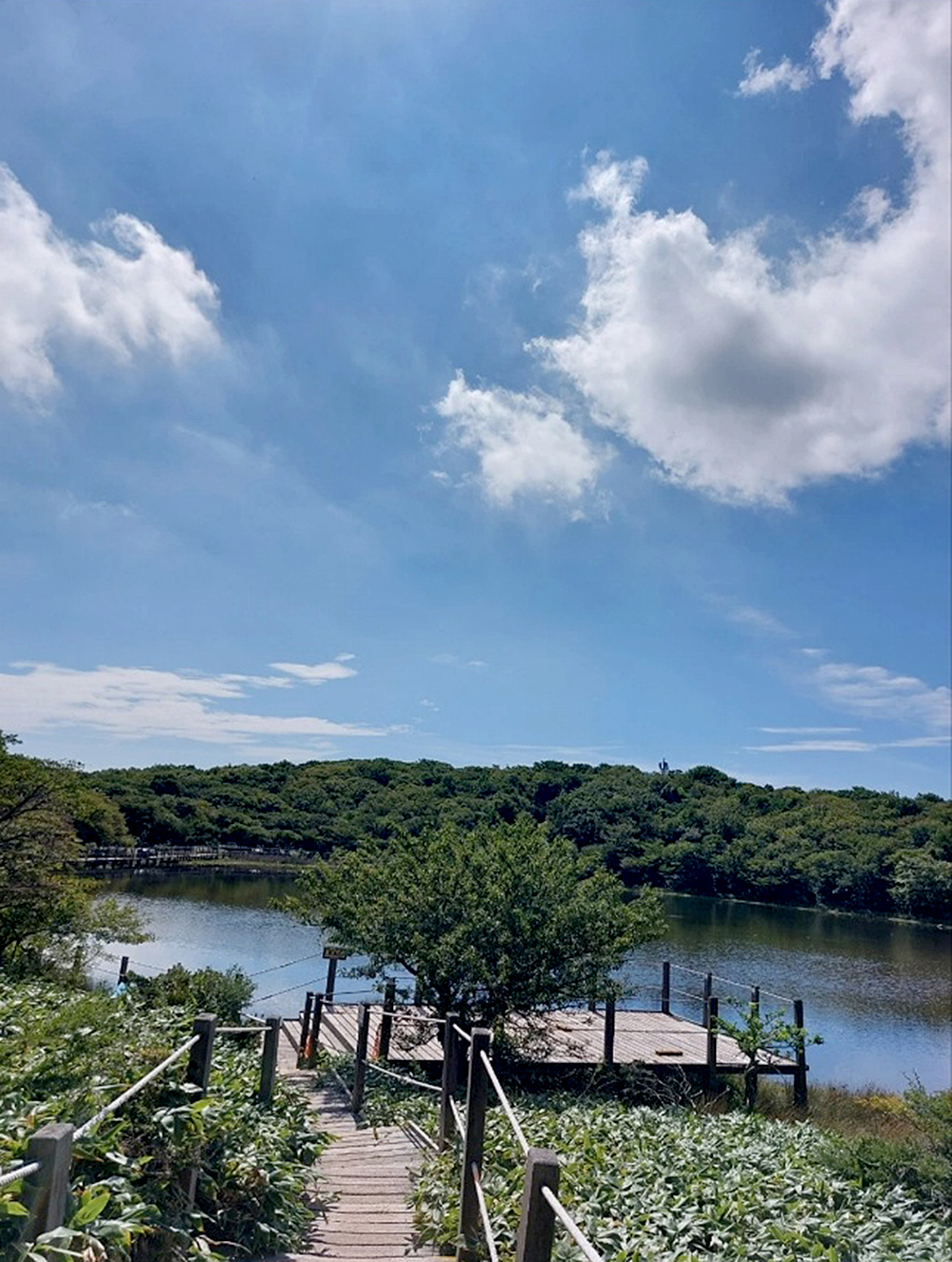 한라산 사라오름