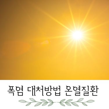 폭염 대처방법 온열질환 증상 예방 응급조치