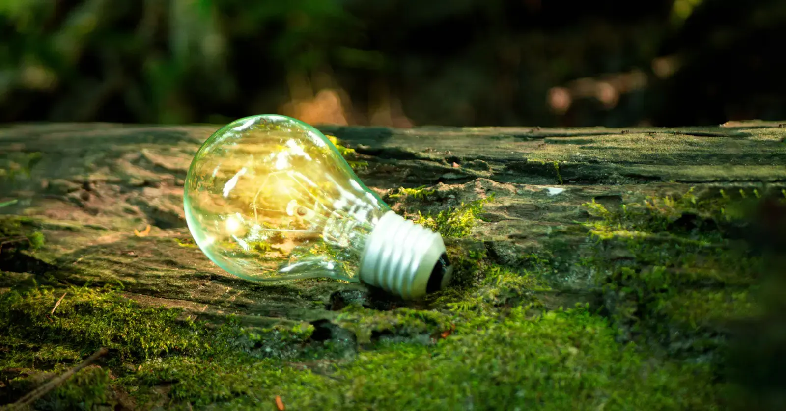 ESG 경영 실천 사례: 기업은 이렇게 한다