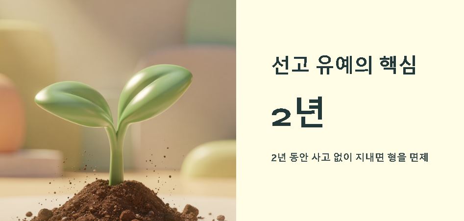 선고 뜻 완벽정리