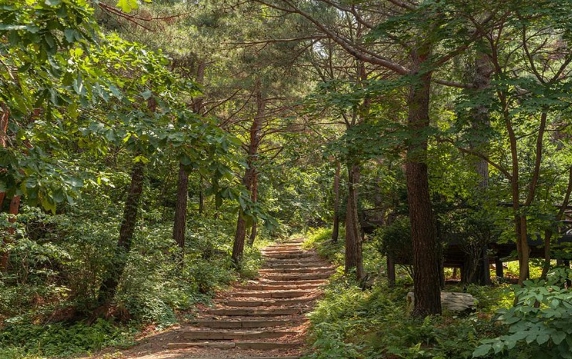 자연속의 힐링